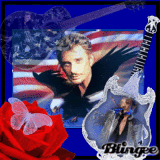 johnny hallyday