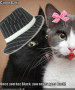 Kitty Love