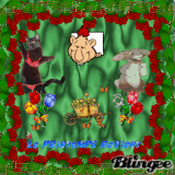 concours funny 11