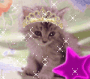 gattino