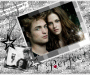 Obssesive Twilight Dissorder