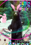 HAPPY