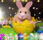 EASTER HAMMY