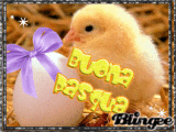 Buona Paqua