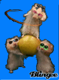 Circo de ratones