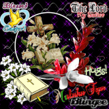 BLESSED EASTER. MALUKUTIGER