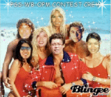 PSSWBOPMGLITTER