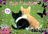 Best Friends <3 Best Friends <3