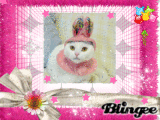 my beautiful photo