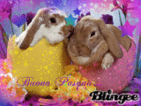 Buona Pasqua!