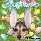 Augie Easter Card