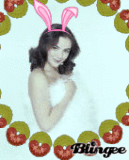 bunny 1