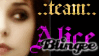 .:team:. Alice