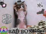 funny Animals