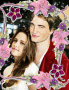 i più belli di twilight