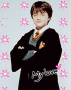 potter harry