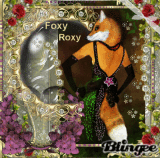 FOXY ROXY