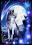wolf in the moonlight