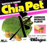 Cheetahs anti chia Pet