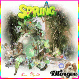 Spring Friends
