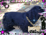 doky  el  ganster  negro