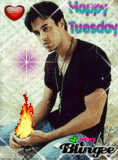 Happy Tuesday
