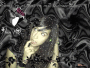 Pincha24