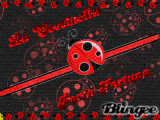O0o° La Coccinella Porta Fortuna °o0O