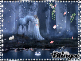 The magical Forest