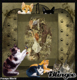 i love cats