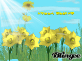 spring