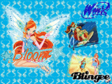 winxclub bloom