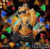 I'M A ROCK STAR!