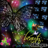 The Beauty Of Spring