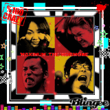 MAXIMUM THE HORMONE