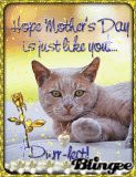 Purr-fect Mothersday