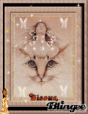 femme chat 