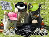 Thugged Out Kitties