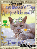 Purr-fect Mothers Day