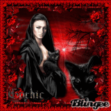 CAT COMPANIONS