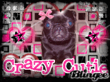Cutie PIe Pug Cutie PIe Pug