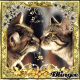 Kitty Love