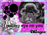 i got my eye on you