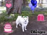 Sugar Birthday
