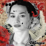 Veiled in Vintage~