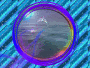 Dolphin Porthole Dolphin Porthole