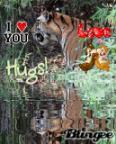 GREETINGS FROM MALUKUTIGER