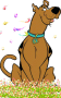 scooby