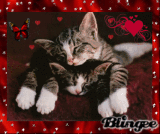 KITTIES