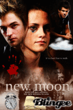 New Moon New Moon